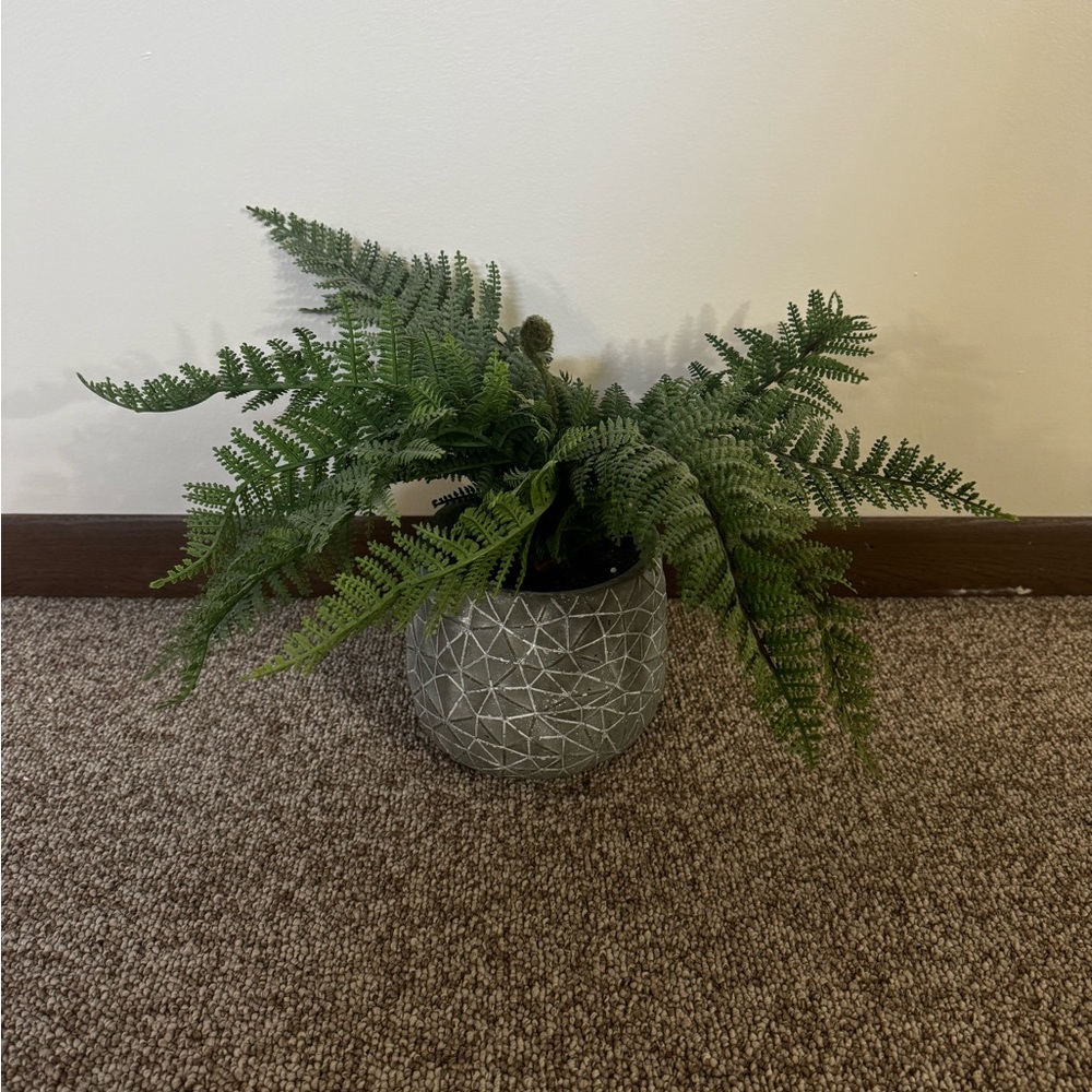 Geometric Gray Planter with Green Ferns